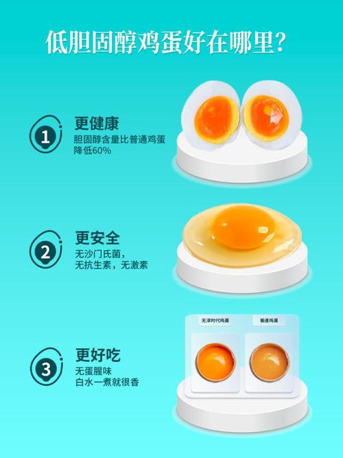 第五屆零售生鮮食材展,無淳時代低膽固醇雞蛋備受矚目